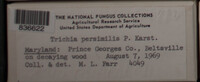 Image Associated With the Occurence